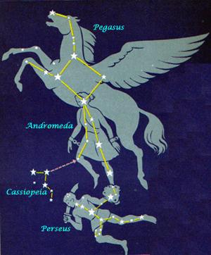 Pegasus Horse Constellation