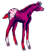 [Foal]